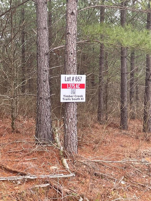 657 Timber Creek Trails South XI