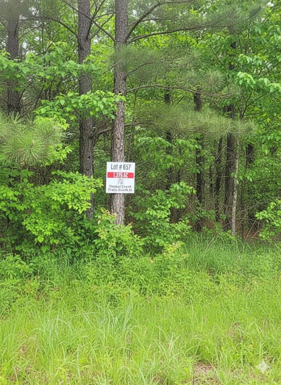 657 Timber Creek Trails South XI