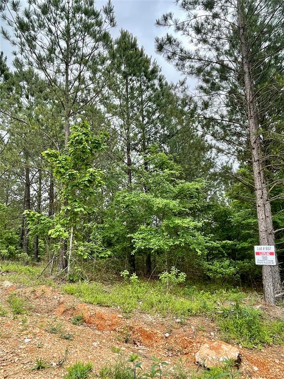 657 Timber Creek Trails South XI