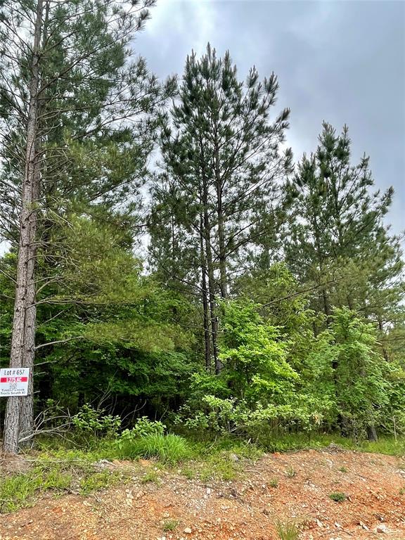 657 Timber Creek Trails South XI