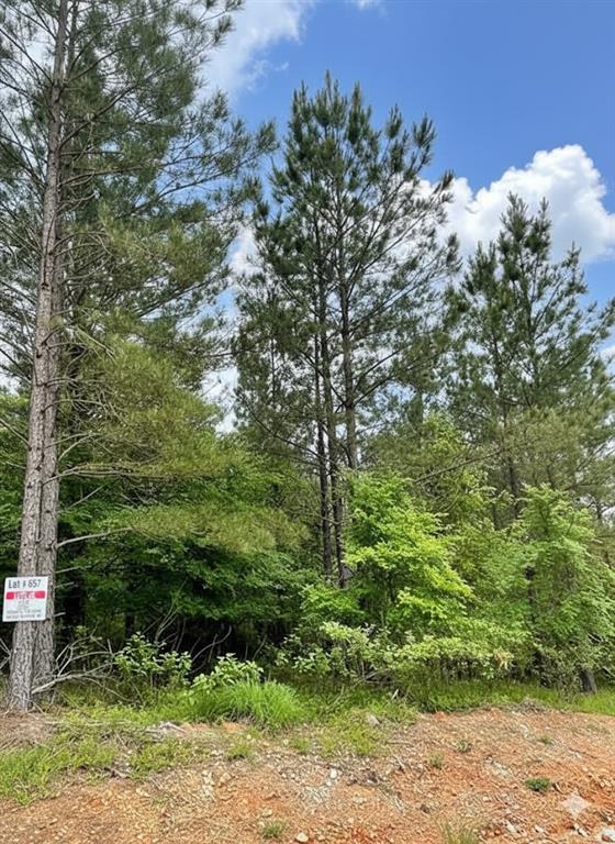 657 Timber Creek Trails South XI