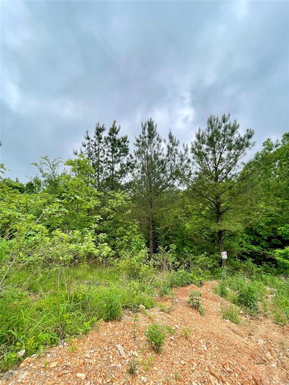 656 Timber Creek Trails South XI