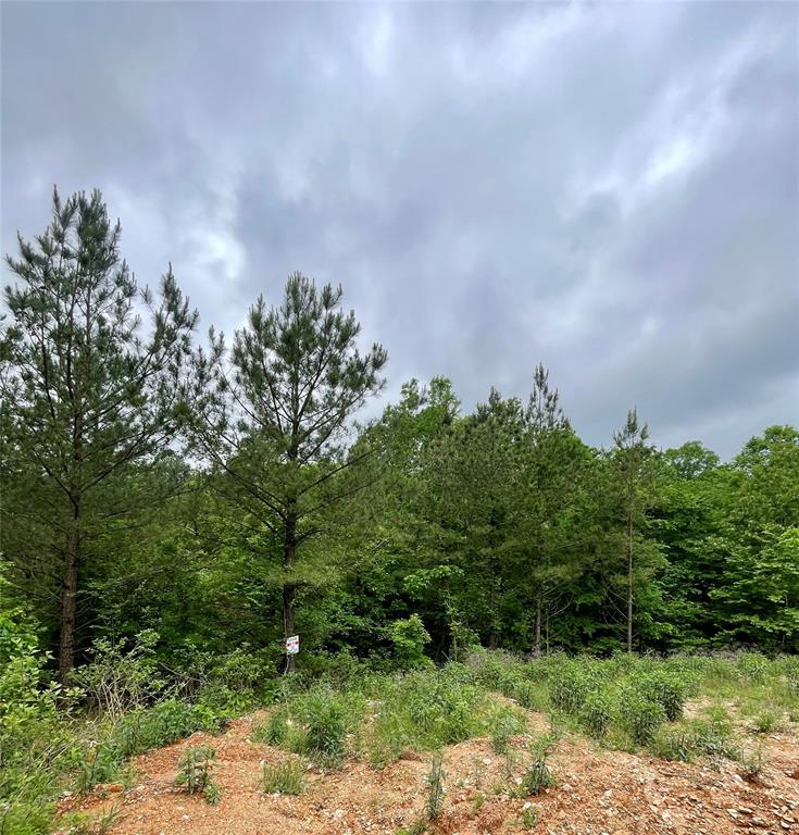 656 Timber Creek Trails South XI