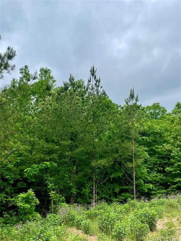 656 Timber Creek Trails South XI