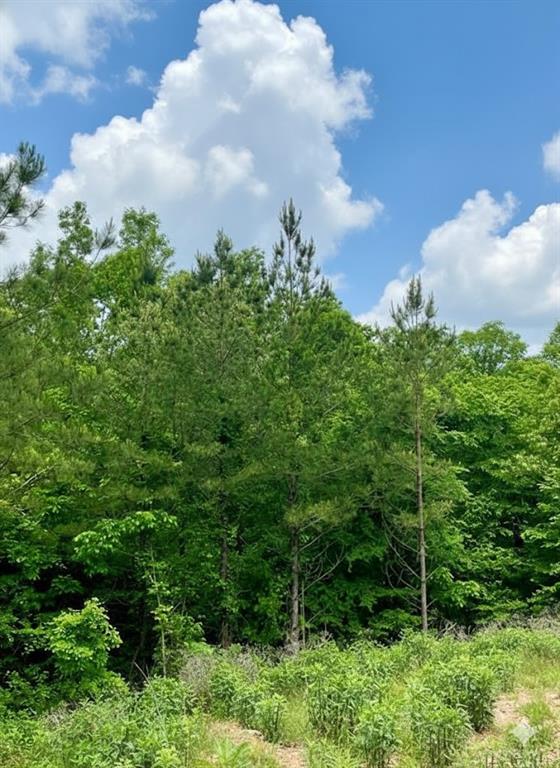 656 Timber Creek Trails South XI