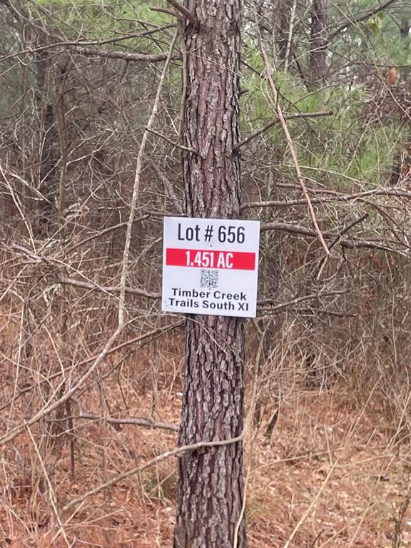 656 Timber Creek Trails South XI