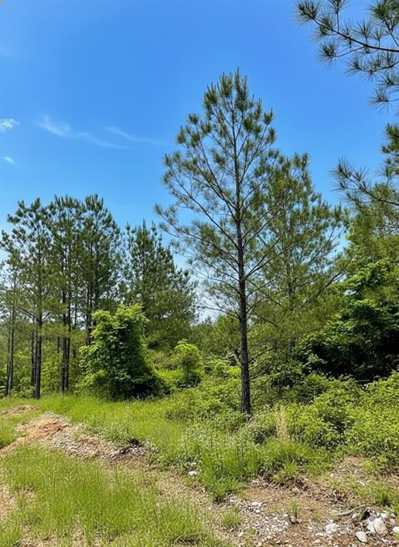 661 Timber Creek Trails South XI