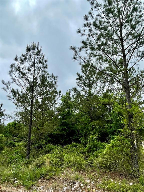 661 Timber Creek Trails South XI