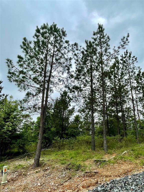 661 Timber Creek Trails South XI