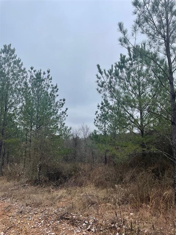 661 Timber Creek Trails South XI