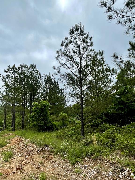 661 Timber Creek Trails South XI