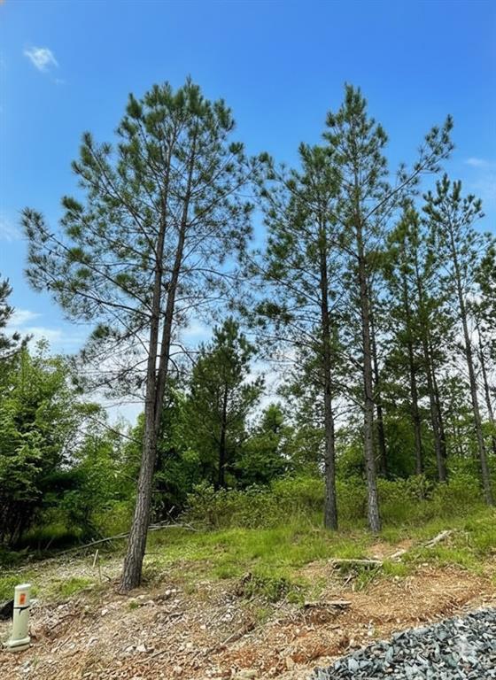 661 Timber Creek Trails South XI