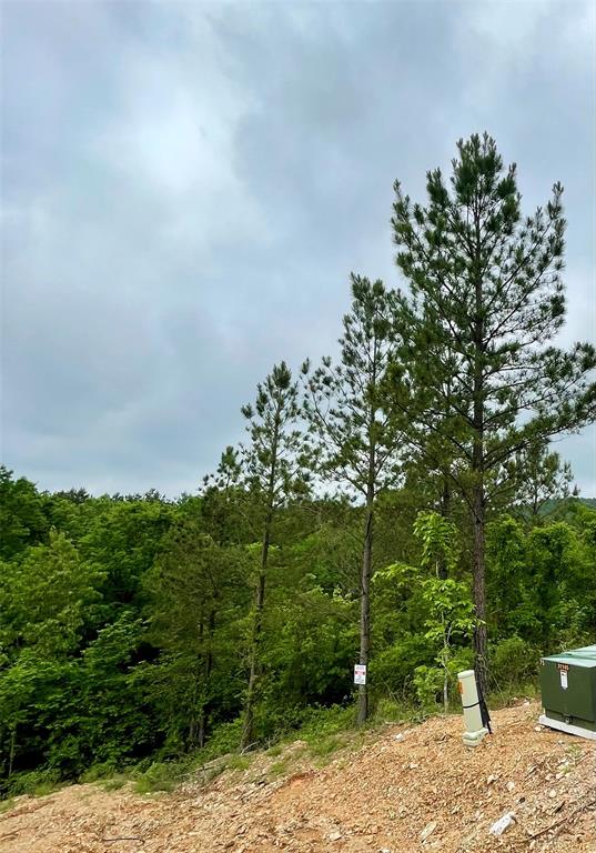 673 Timber Creek Trails South XI