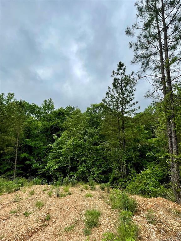 673 Timber Creek Trails South XI