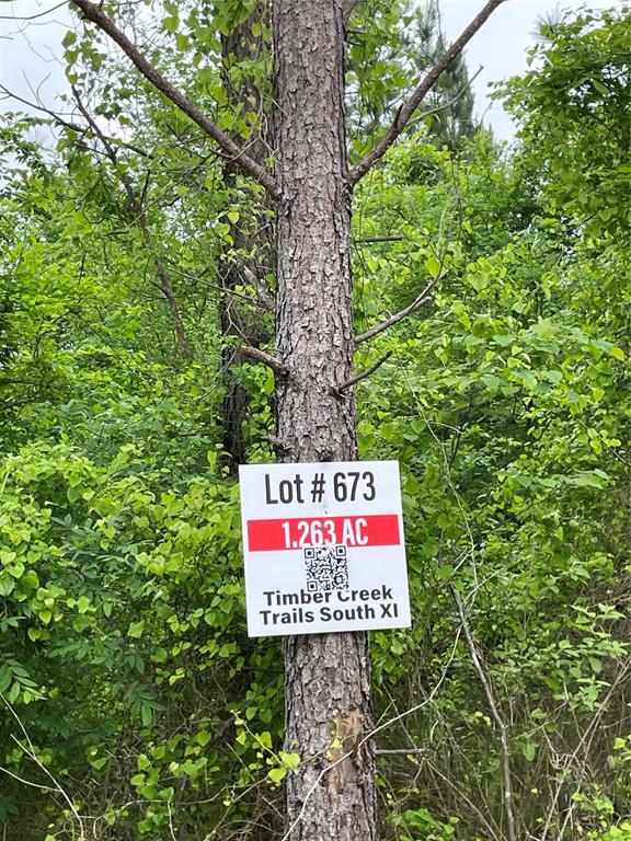 673 Timber Creek Trails South XI