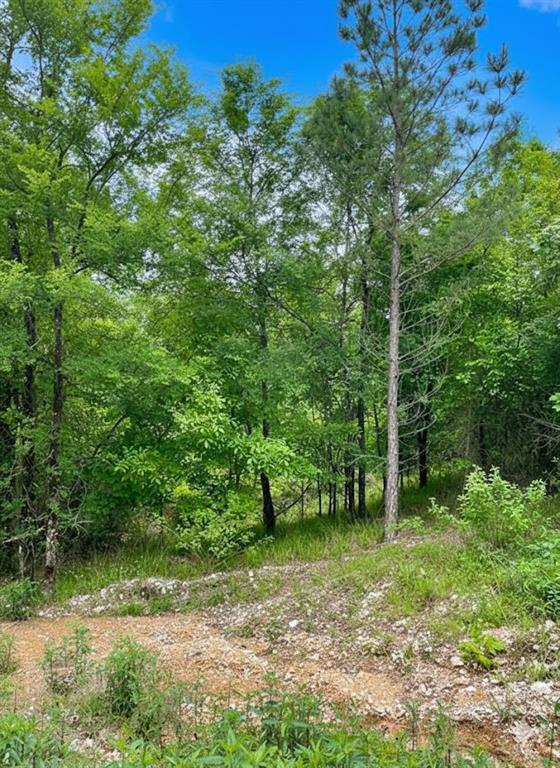 662 Timber Creek Trails South XI