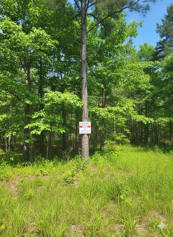 662 Timber Creek Trails South XI