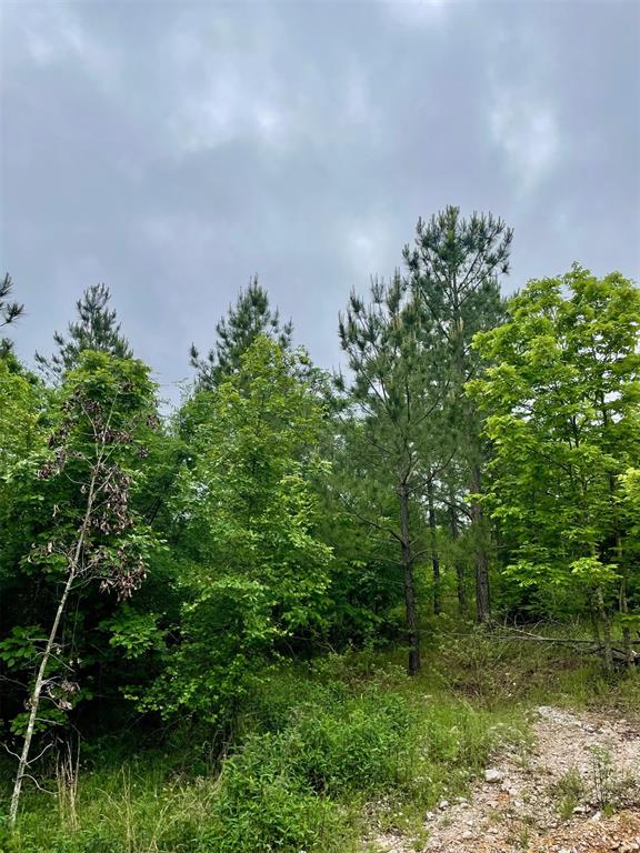 662 Timber Creek Trails South XI