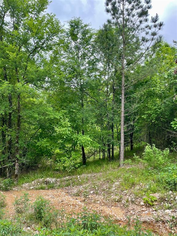 662 Timber Creek Trails South XI