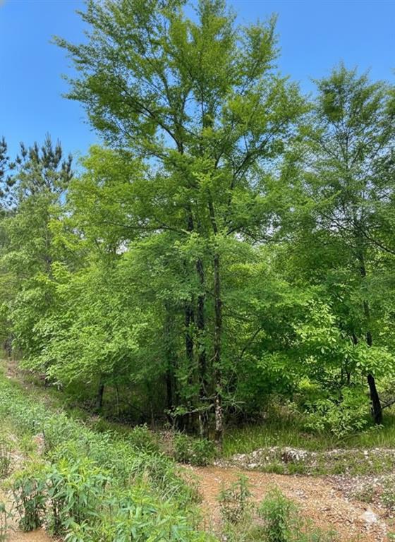 662 Timber Creek Trails South XI