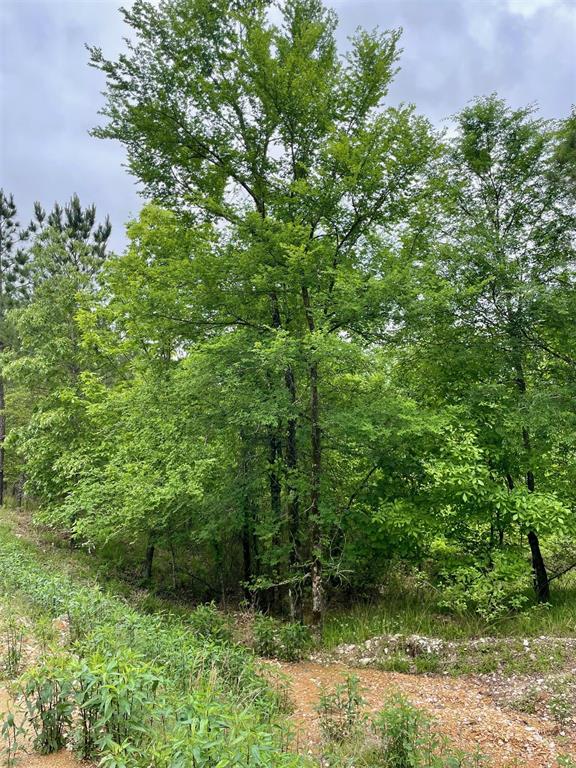 662 Timber Creek Trails South XI