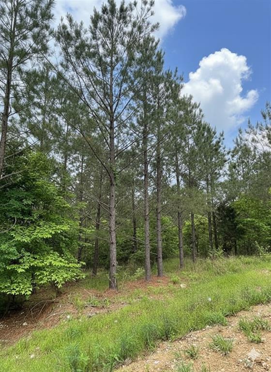 663 Timber Creek Trails South XI