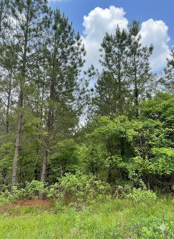 663 Timber Creek Trails South XI