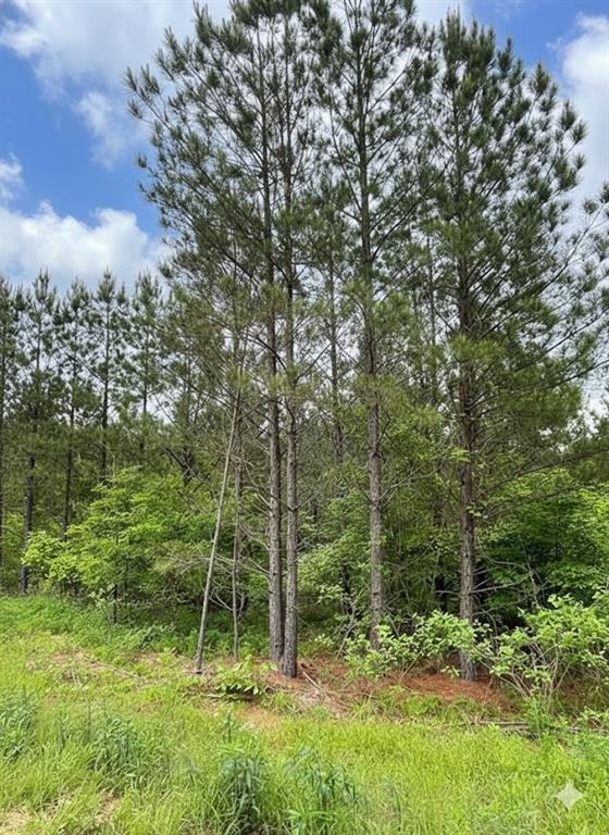 663 Timber Creek Trails South XI