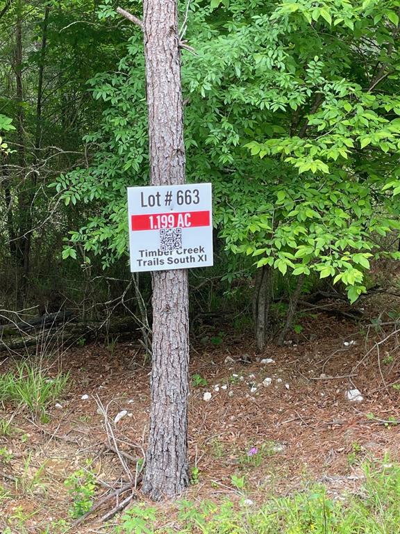 663 Timber Creek Trails South XI