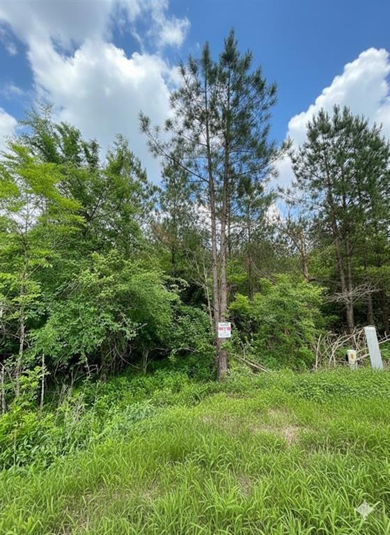 664 Timber Creek Trails South XI