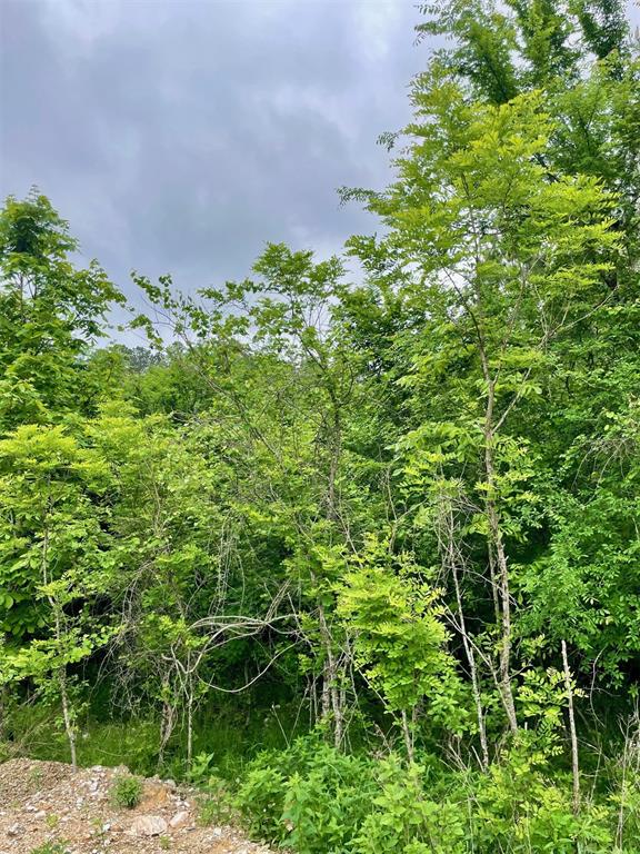 664 Timber Creek Trails South XI