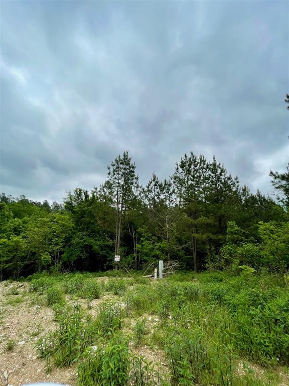 664 Timber Creek Trails South XI