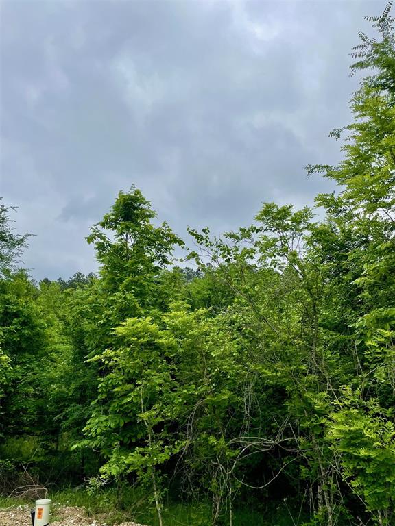 664 Timber Creek Trails South XI