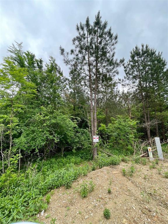 664 Timber Creek Trails South XI