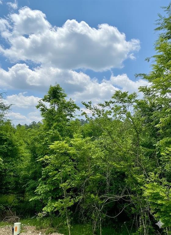 664 Timber Creek Trails South XI