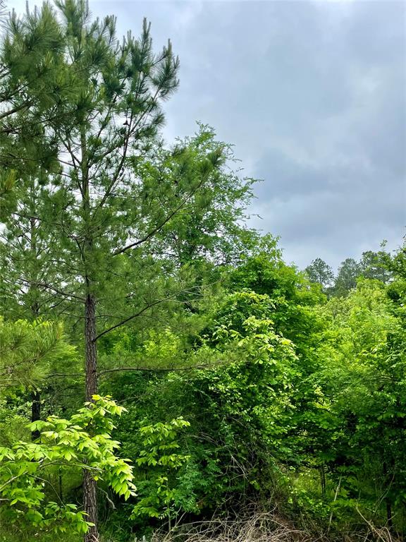 655 Timber Creek Trails South XI