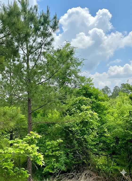 655 Timber Creek Trails South XI