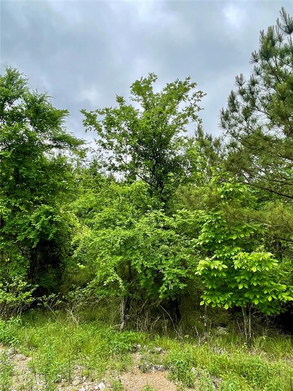 655 Timber Creek Trails South XI