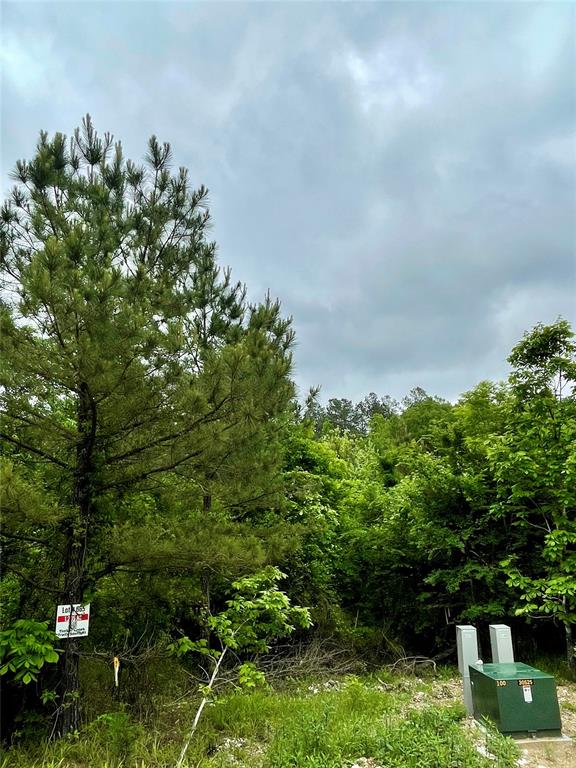655 Timber Creek Trails South XI