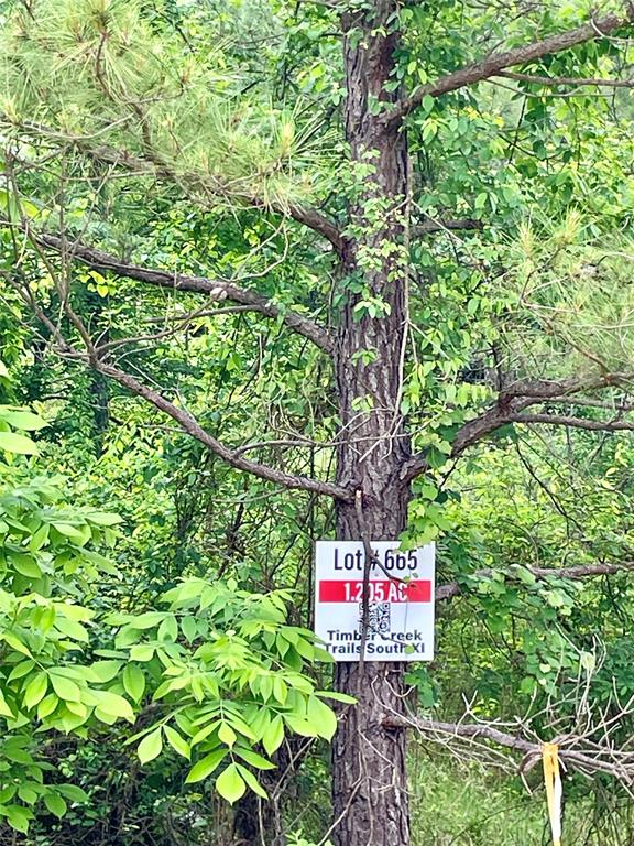 655 Timber Creek Trails South XI