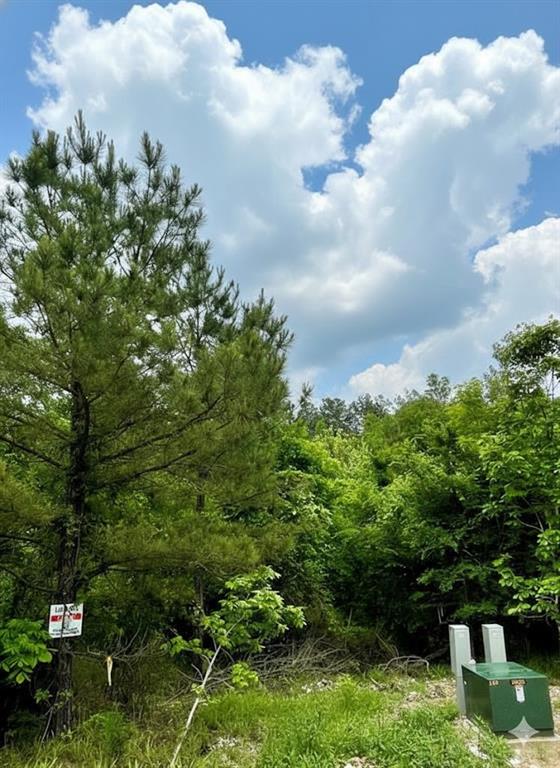 655 Timber Creek Trails South XI