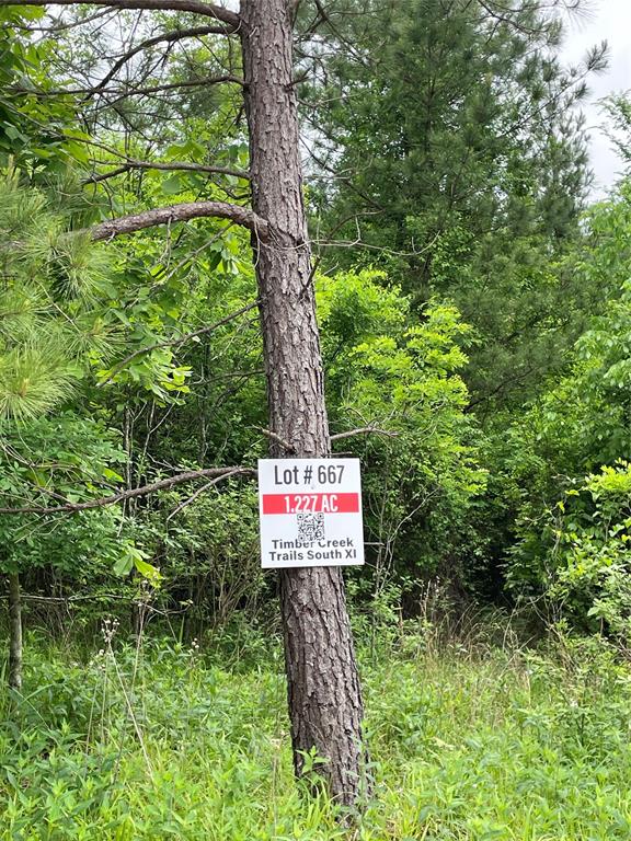 667 Timber Creek Trails South XI