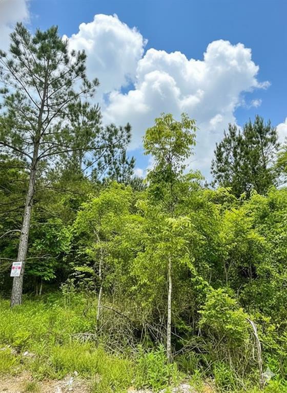 667 Timber Creek Trails South XI