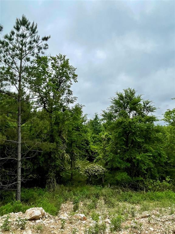 667 Timber Creek Trails South XI