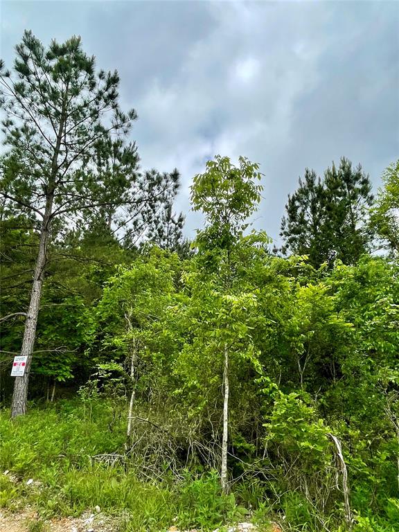 667 Timber Creek Trails South XI