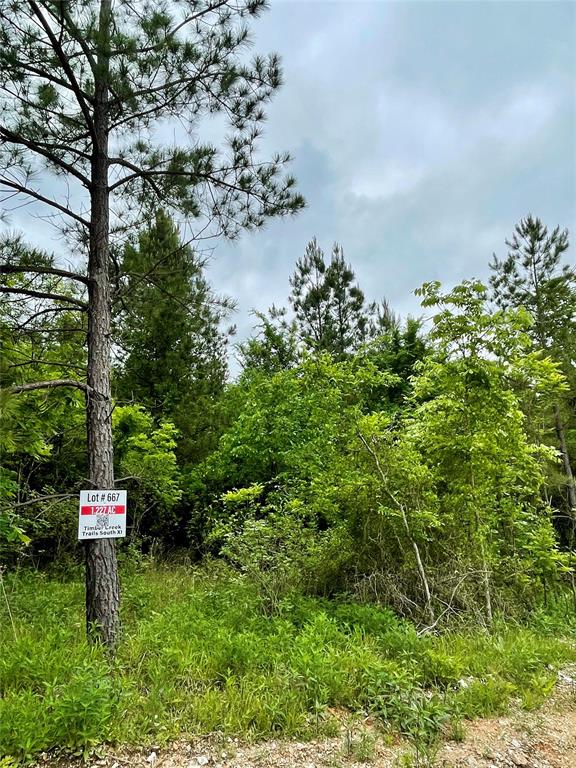 667 Timber Creek Trails South XI