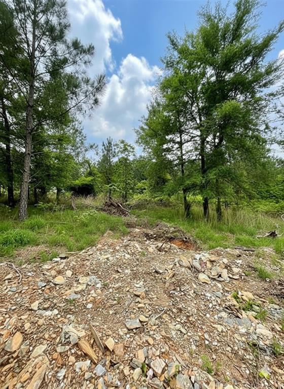 669 Timber Creek Trails South XI