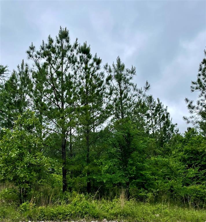 669 Timber Creek Trails South XI