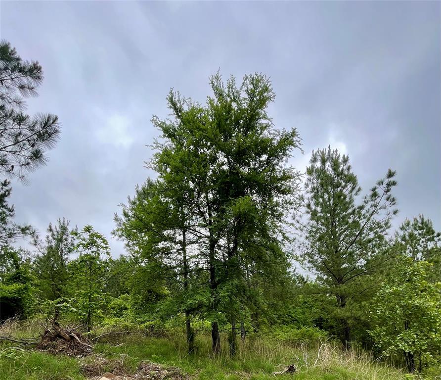 669 Timber Creek Trails South XI