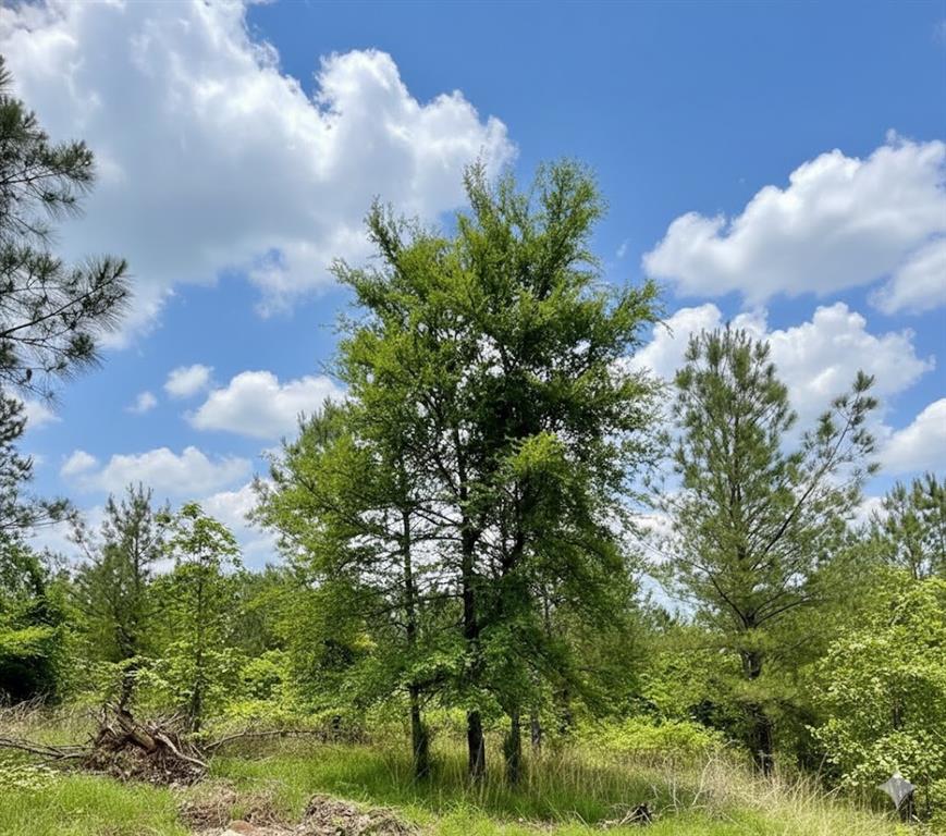 669 Timber Creek Trails South XI